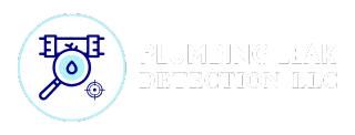 USA Water Leak Detection Services