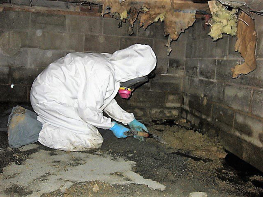 Sewage Cleanup