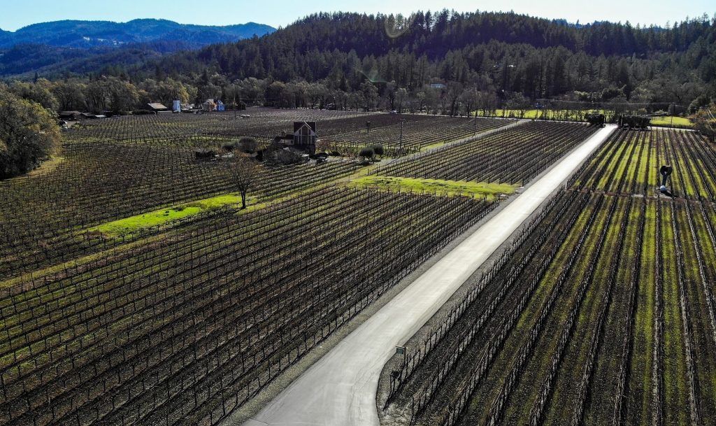 An aerial view over a Napa vineyard