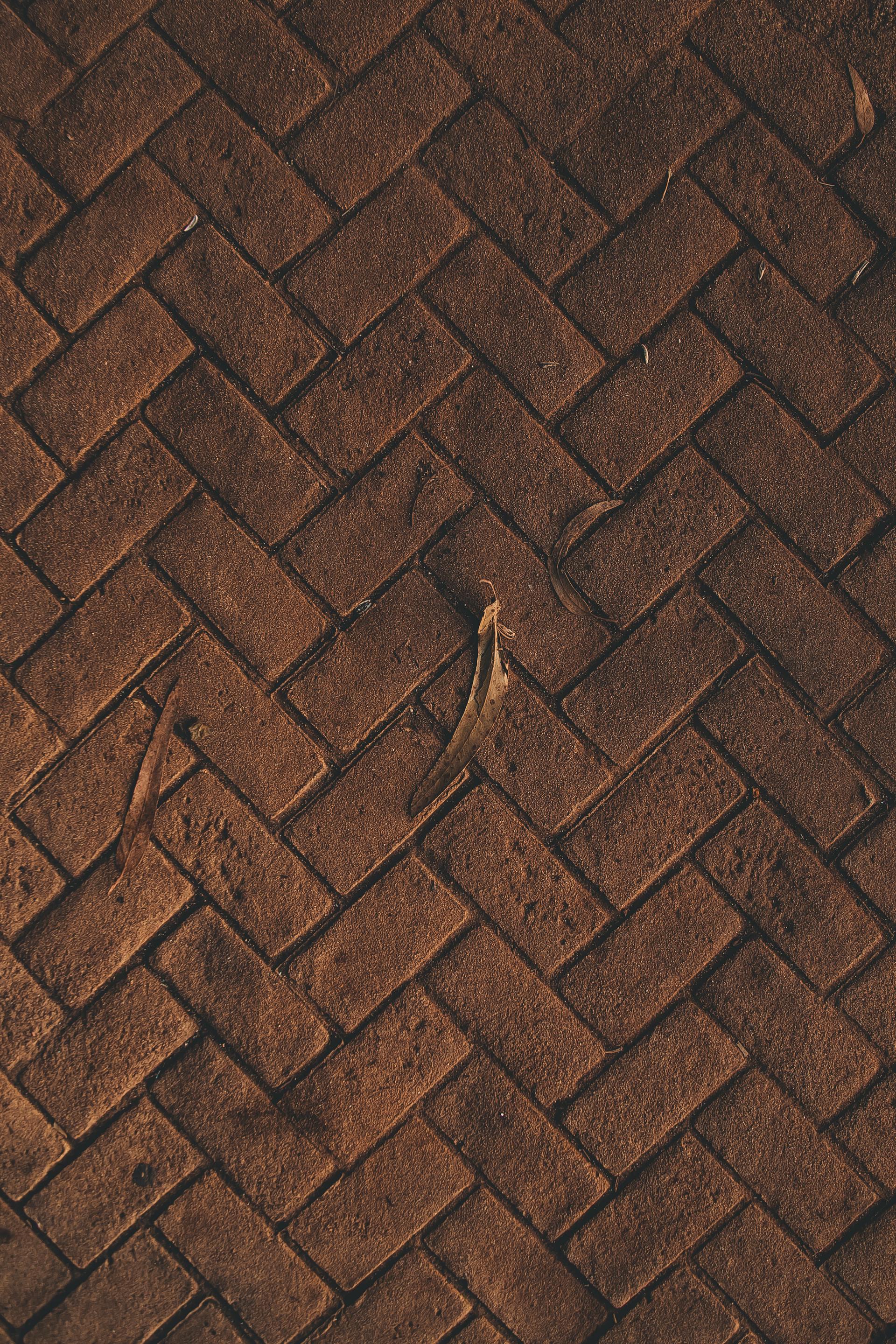 Paving service by Jiyology Construction