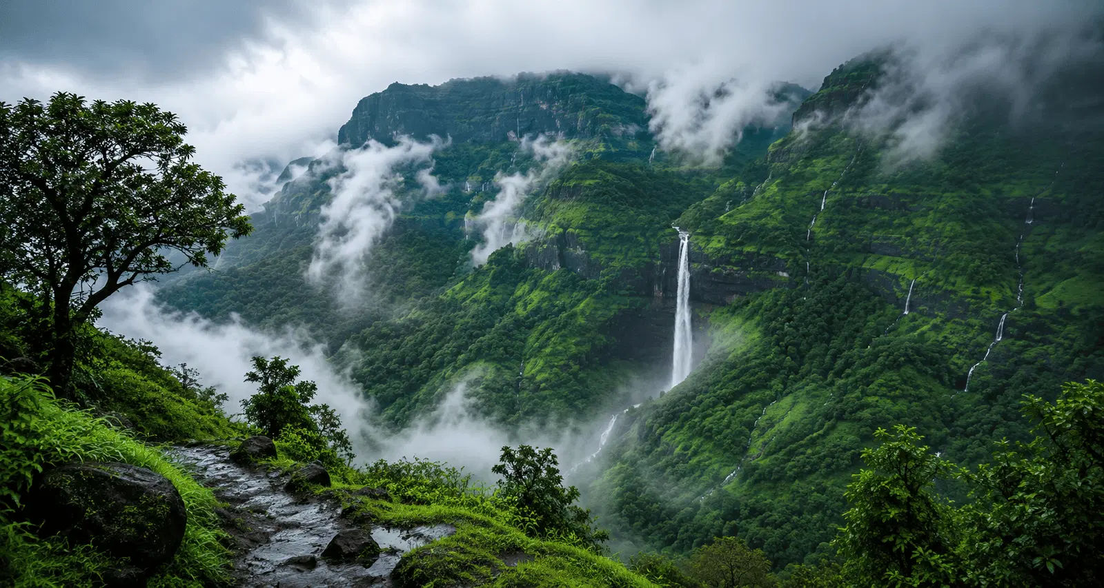 Aadrai Jungle Trek - Adventure with Dream Escape