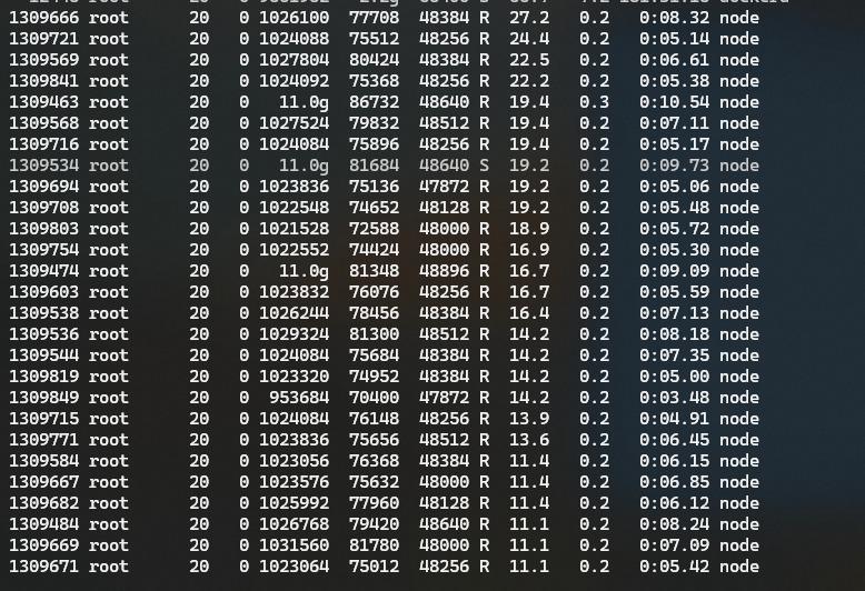 htop stats
