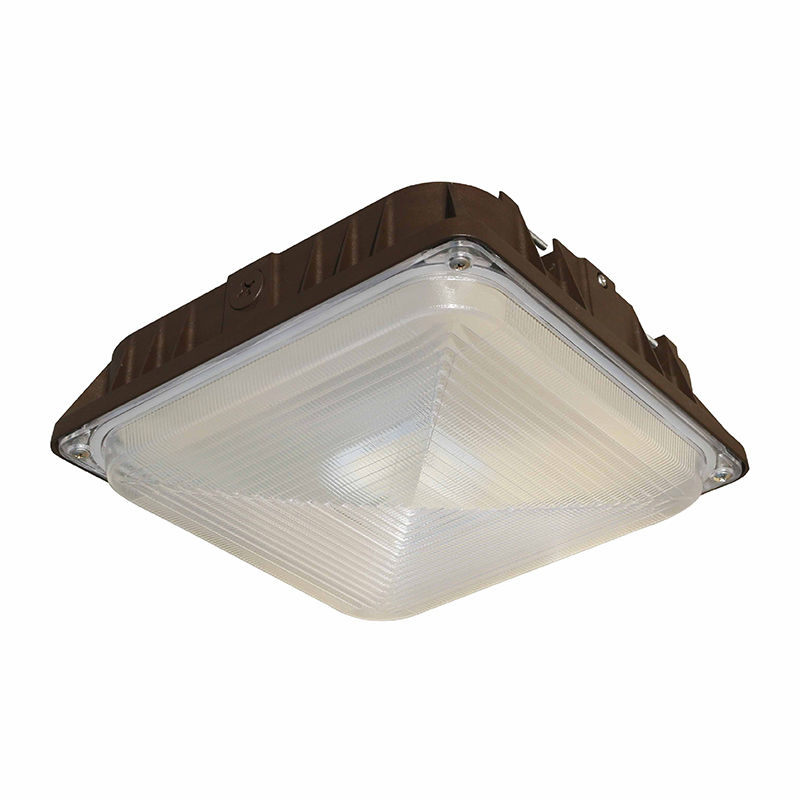 CDLX — Power-Adjustable Low-Profile Canopy / Garage Lights