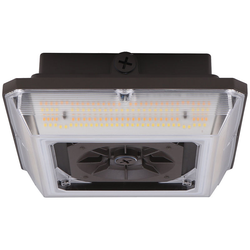 CAX — Angled-Beam Sensor-Ready Garage Canopy Lights