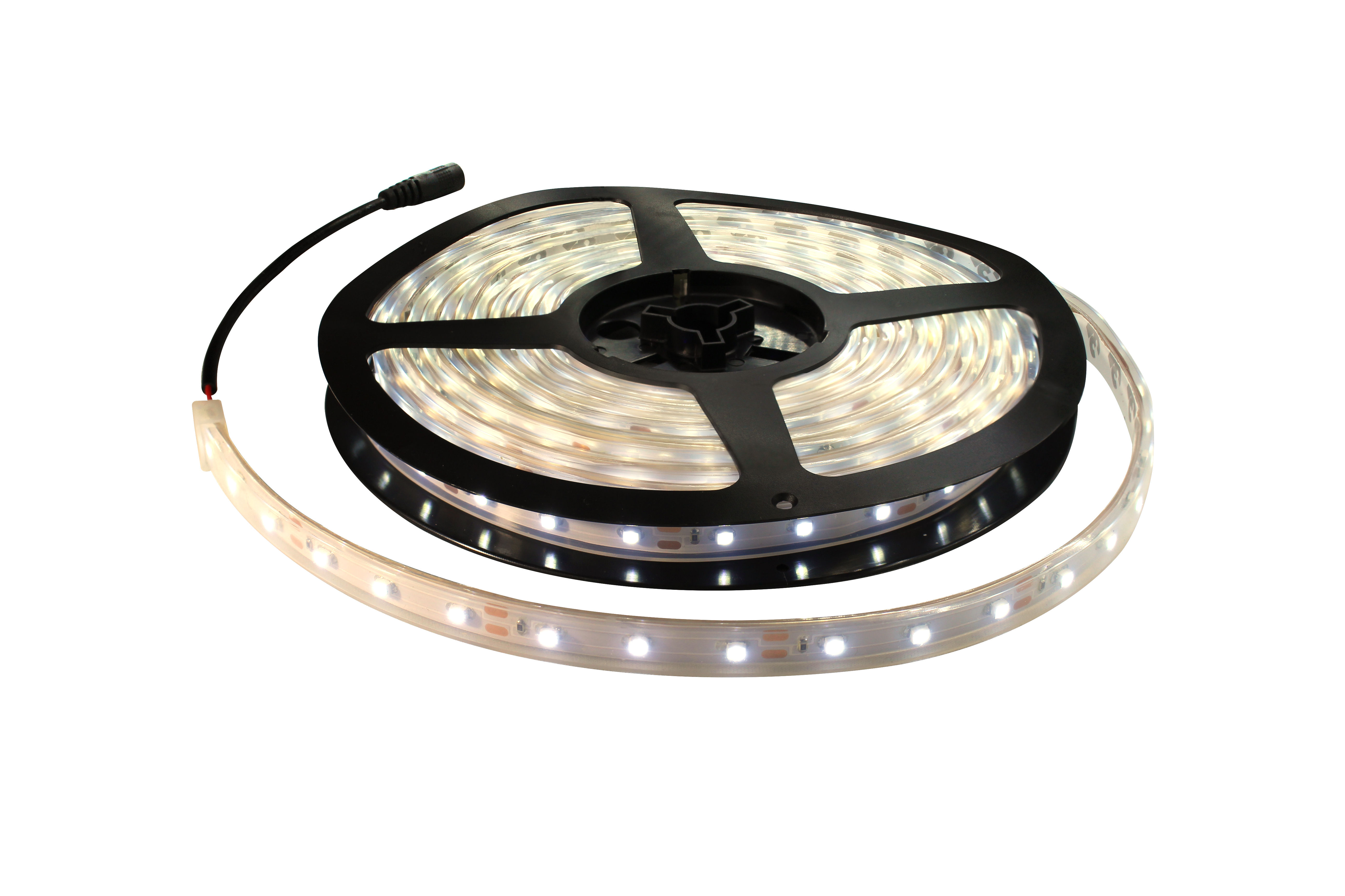R12V-5M-D3-P65-WW.jpg