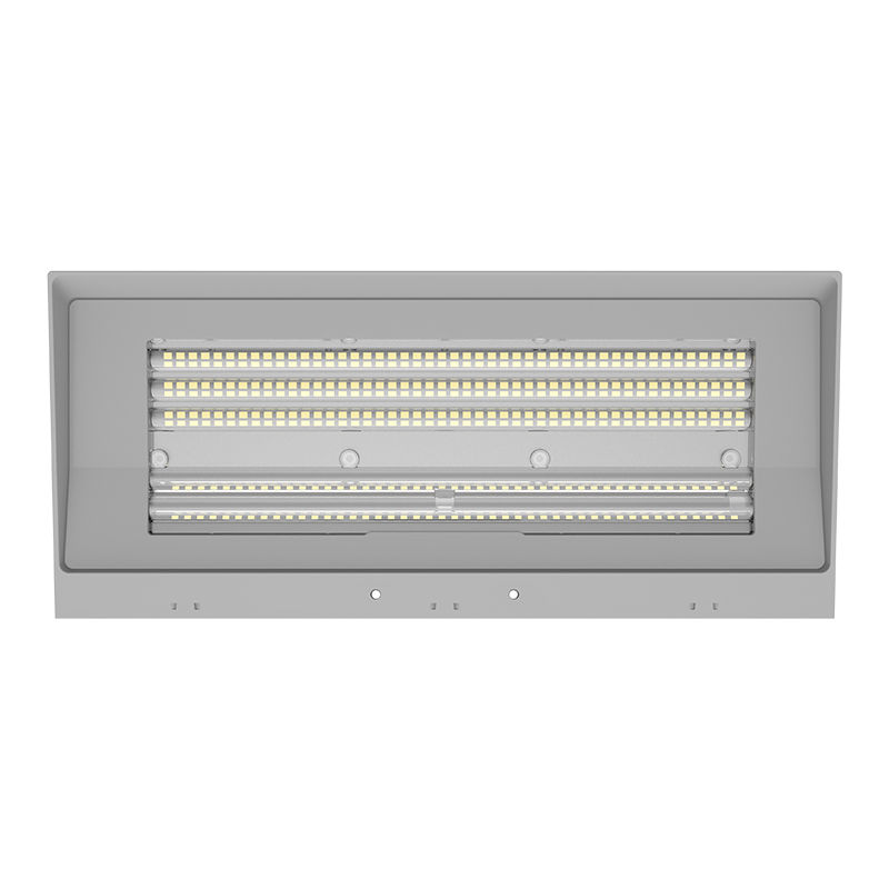 WPMAX-60-100W-MCTP-SIL-RESIZED-3.jpg
