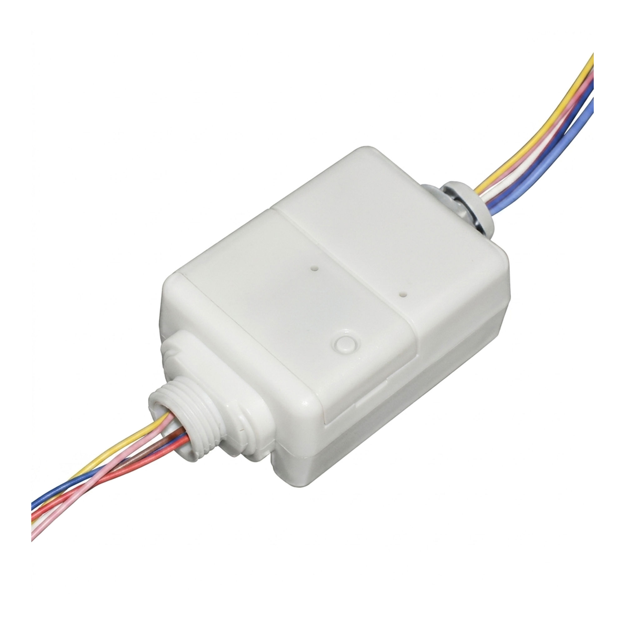 gebc-2.jpg