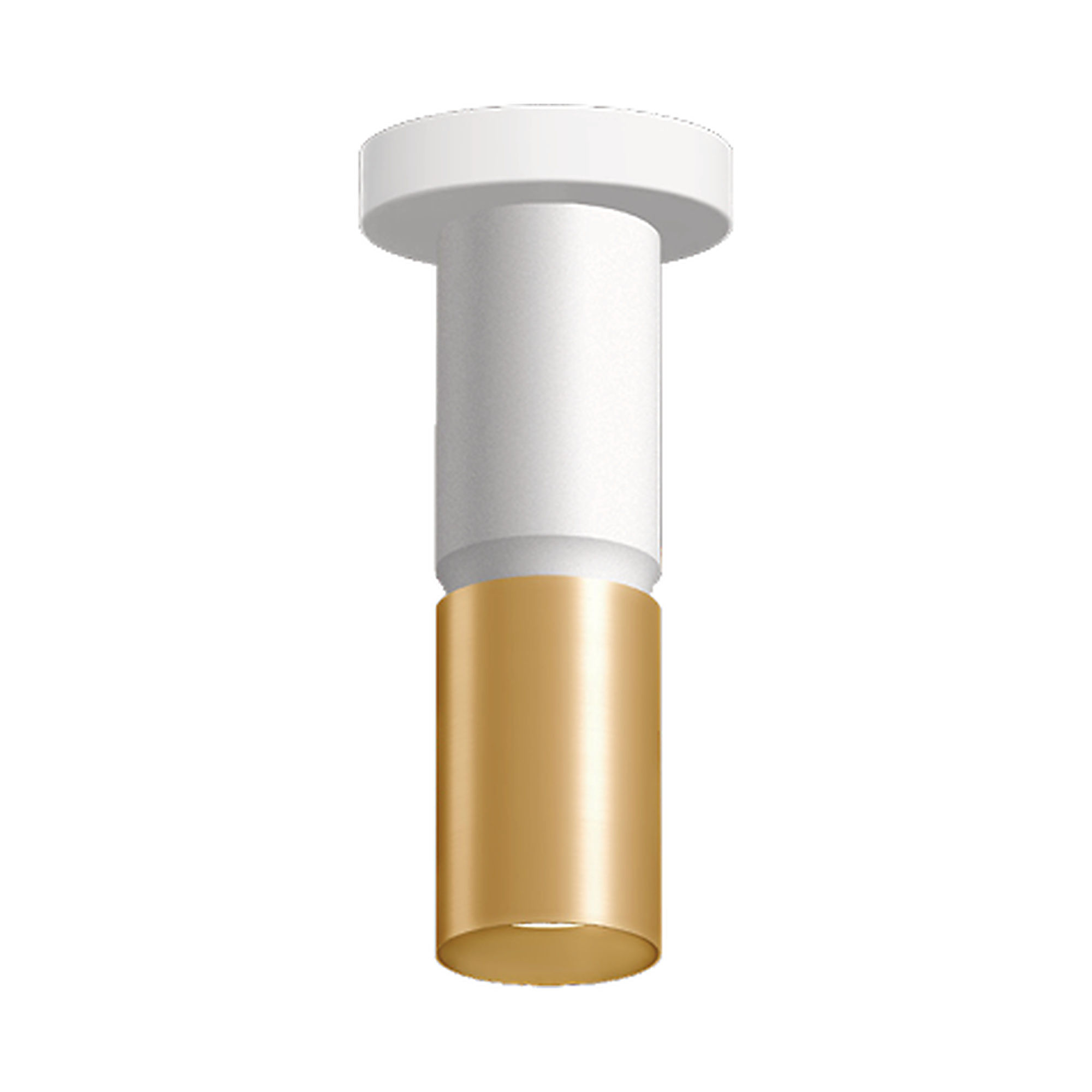 westgate-cmc3-2tone-white-gold-ceiling.jpg