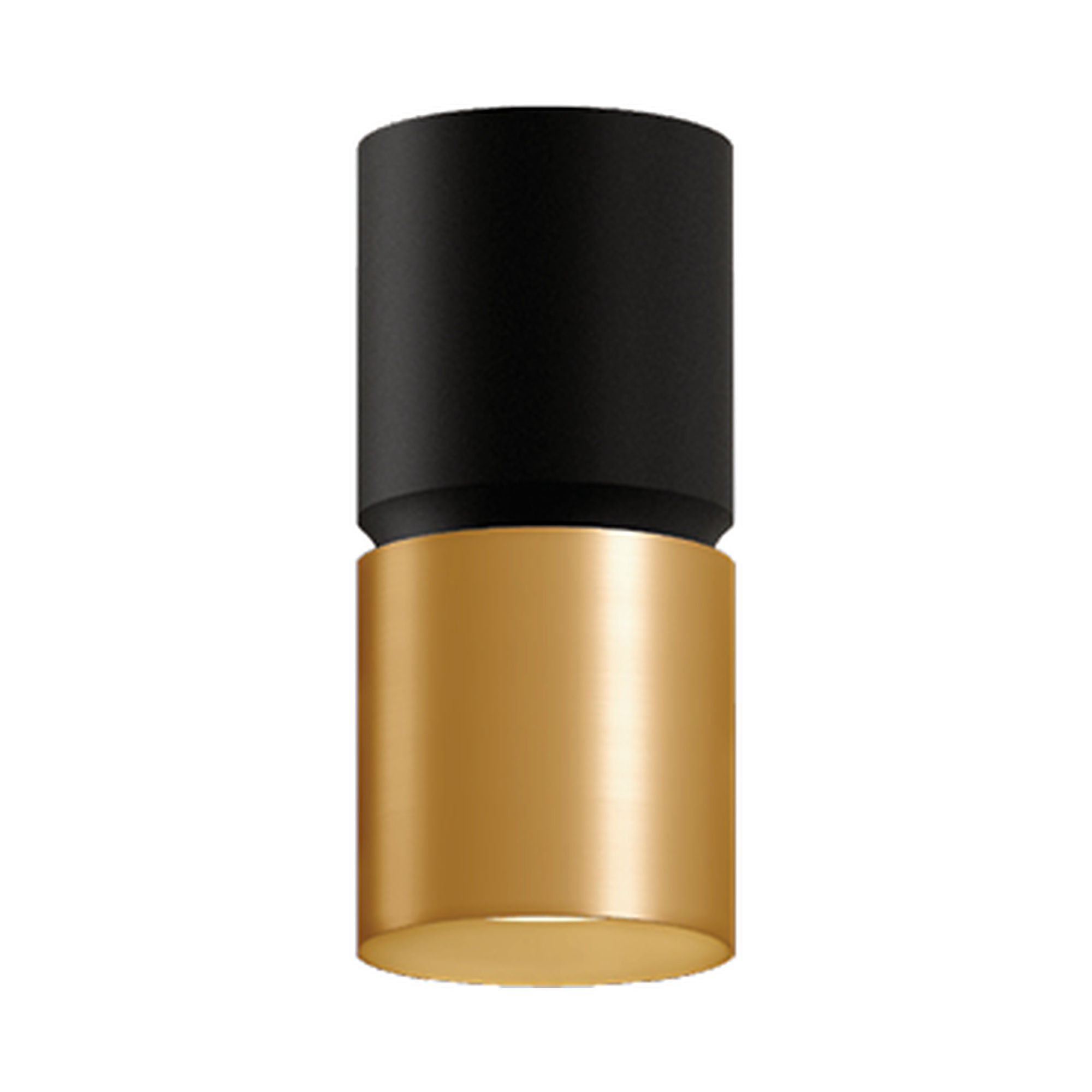 westgate-cmc4-2tone-black-gold-ceiling.jpg