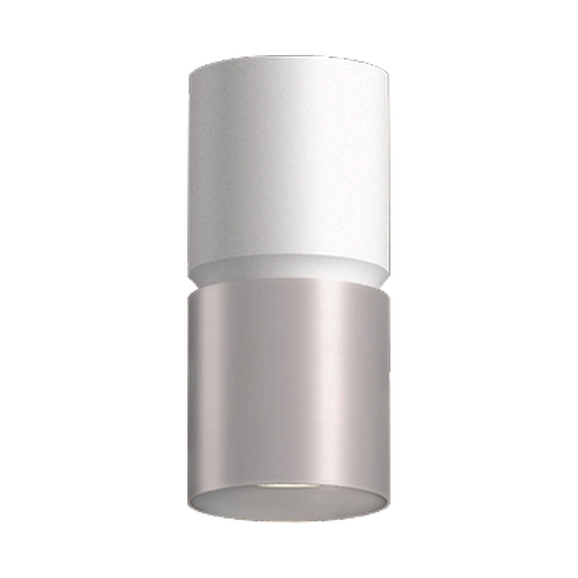 westgate-cmc4-2tone-white-brushed-nickel-ceiling.jpg