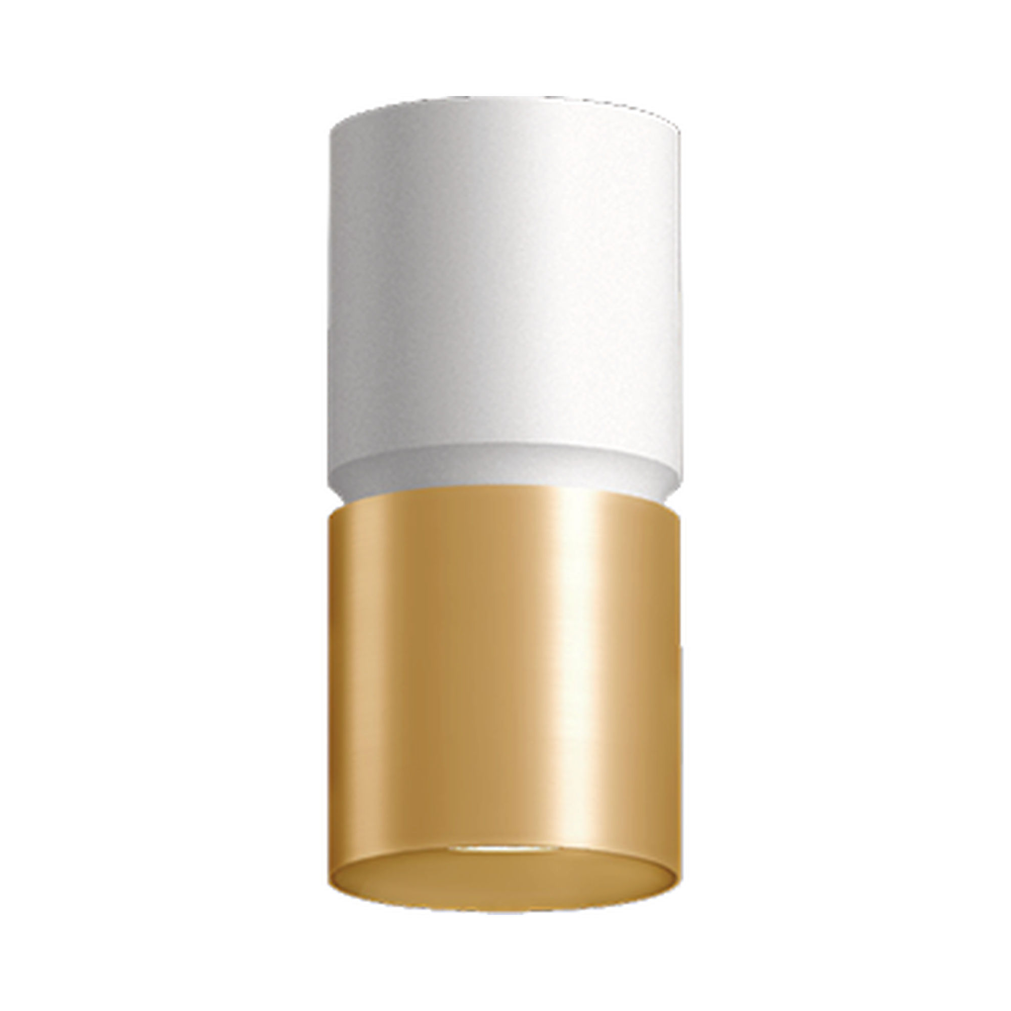 westgate-cmc4-2tone-white-gold-ceiling.jpg