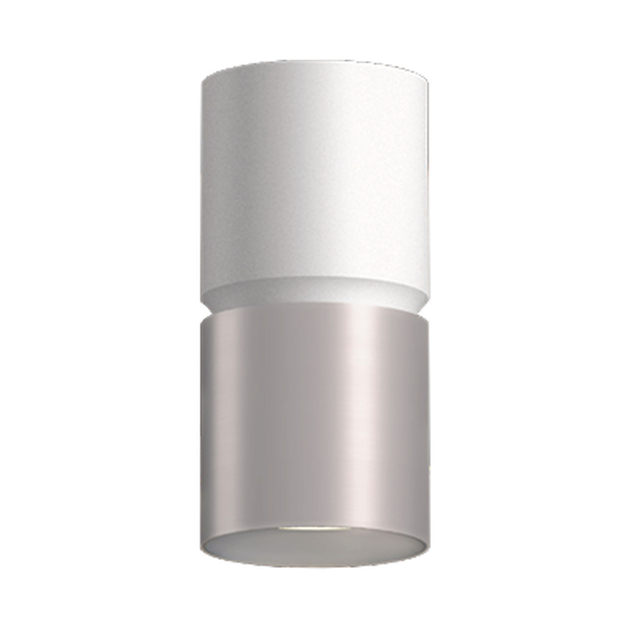 westgate-cmc6-2tone-white-brushed-nickel-ceiling.jpg