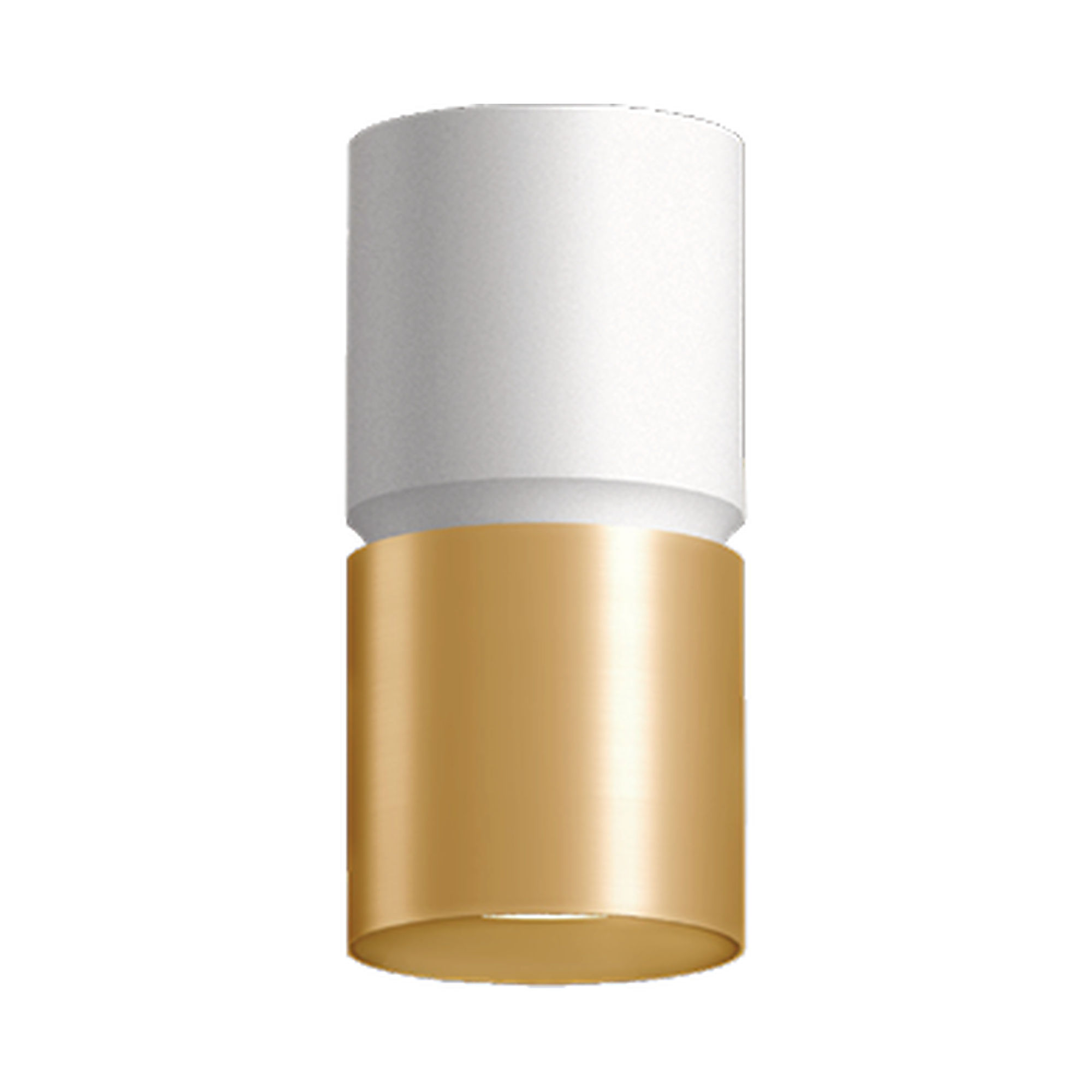 westgate-cmc6-2tone-white-gold-ceiling.jpg