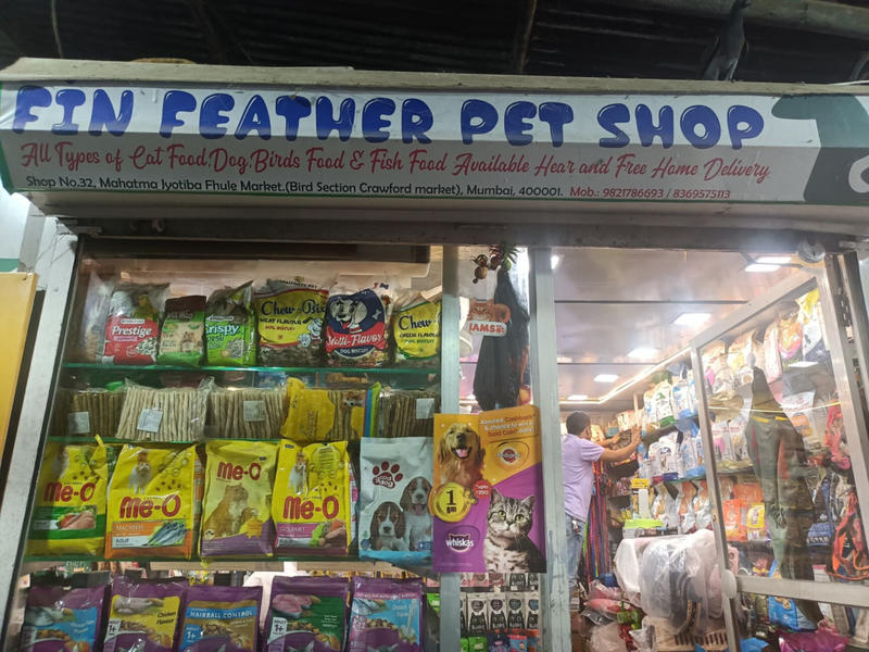 cat food wholesale market in mumbai
