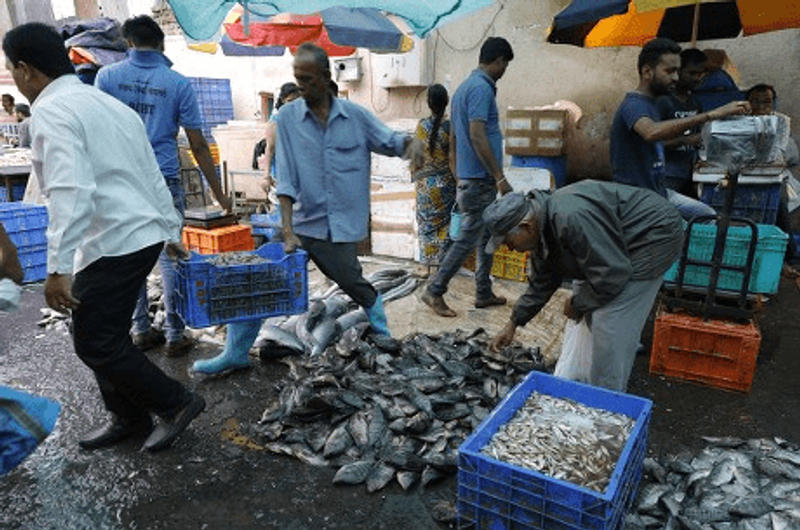 Wholesale Fish Market Pune