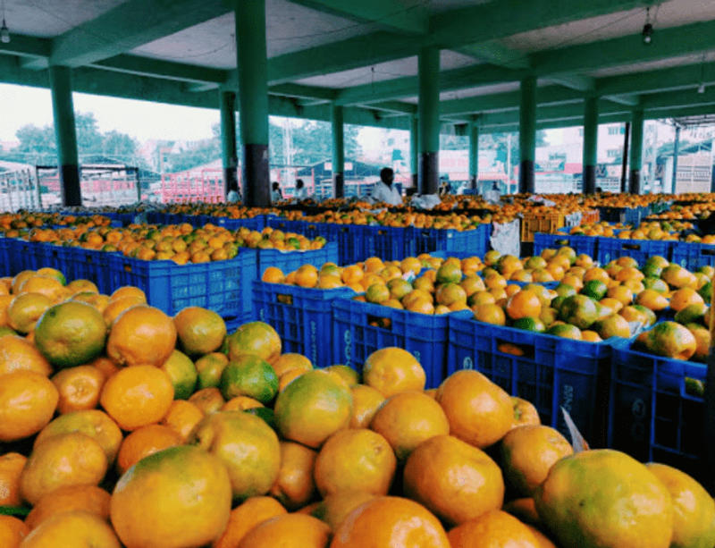 Wholesale Fruit Market in Hyderabad