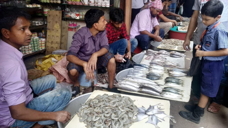 wholesale fish market in mumbai
