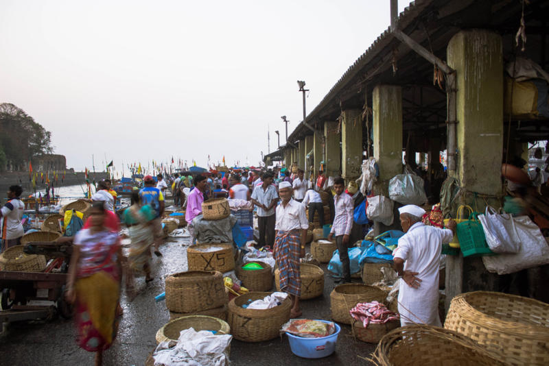 wholesale fish market in mumbai