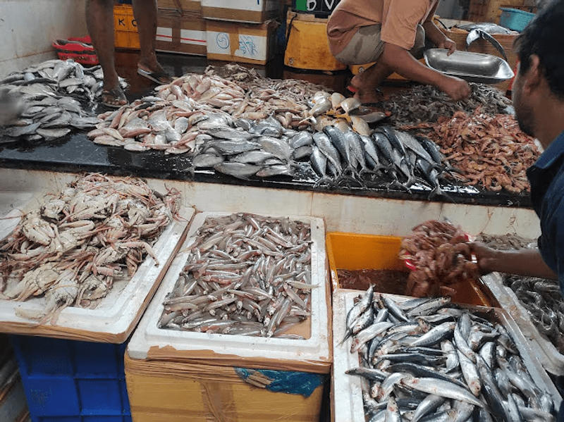 Wholesale Fish Market In Chennai