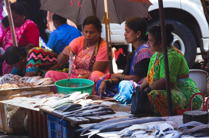 wholesale fish market in mumbai