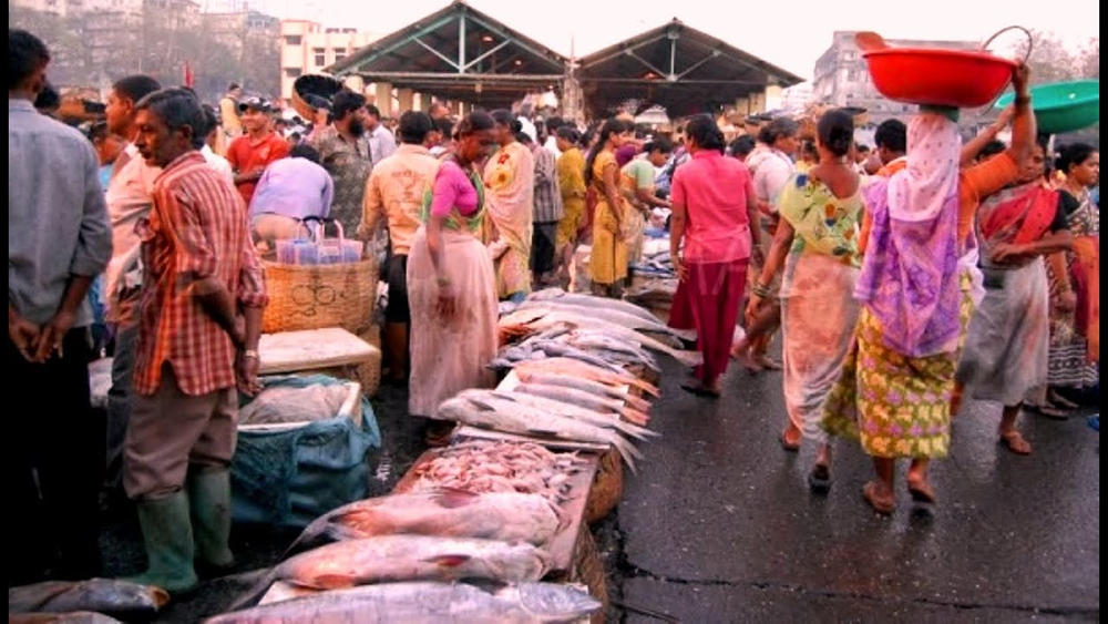 wholesale fish market in mumbai