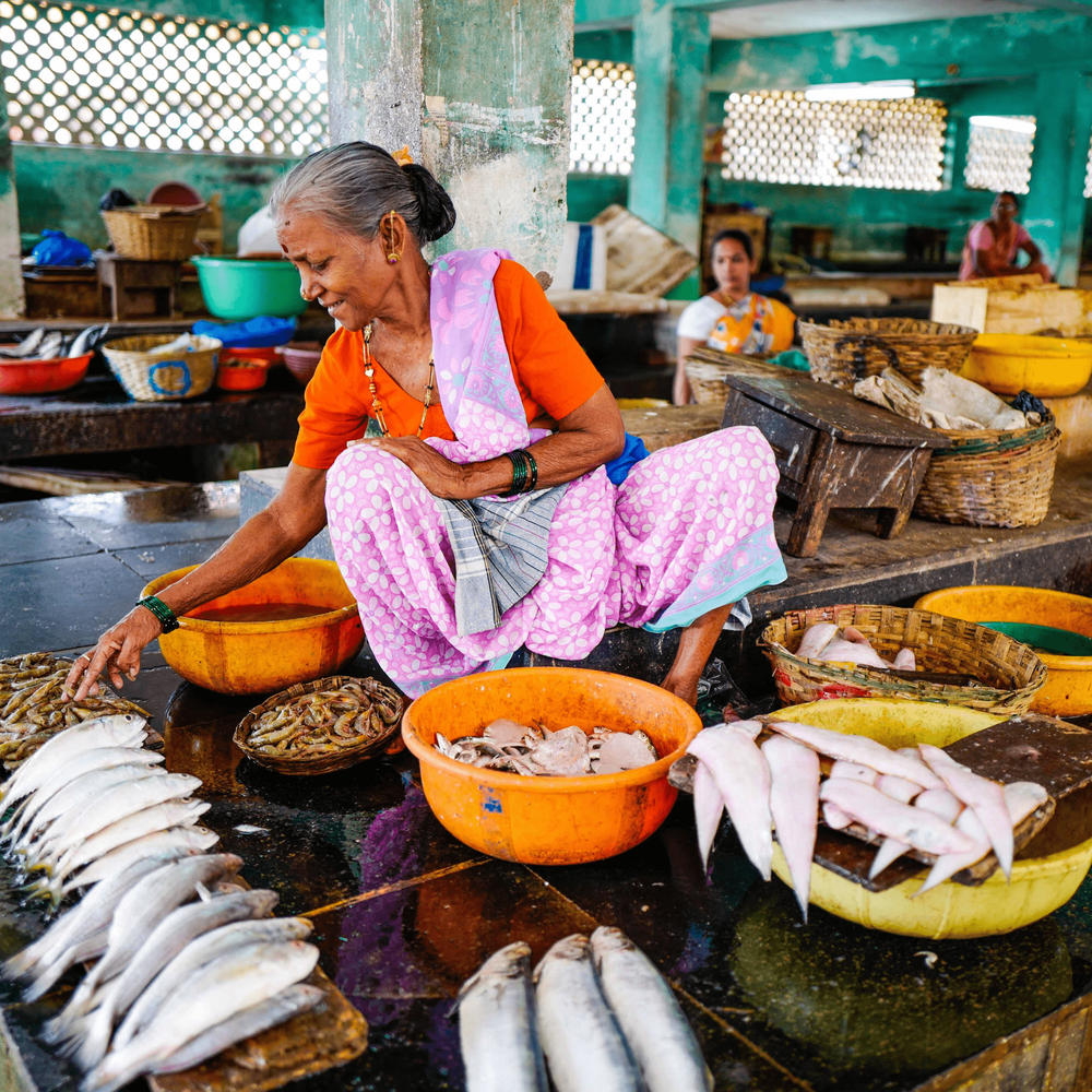 Wholesale Fish Market Pune