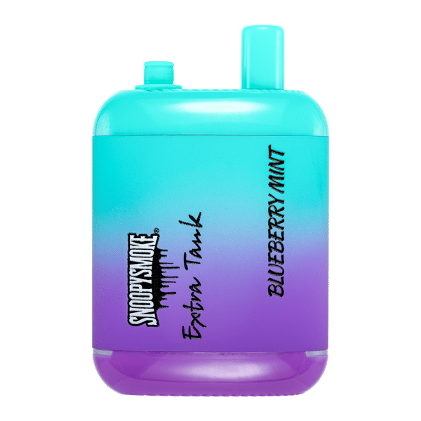 Blueberry Mint Fume