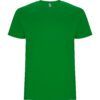 VERDE GRASS