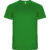 VERDE HELECHO