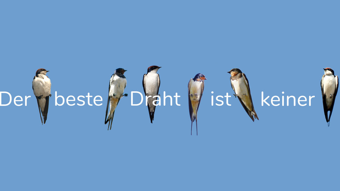 MicrosoftTeams-image