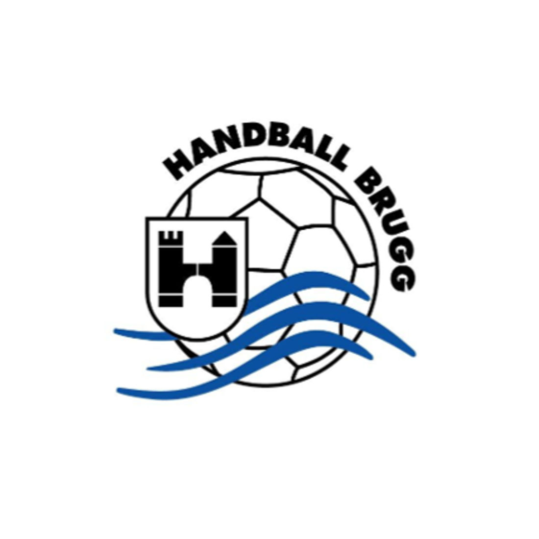 Handball Brugg