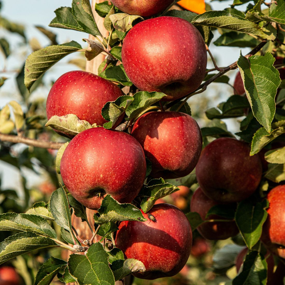 marek-studzinski-3D6yReT06p0-unsplash