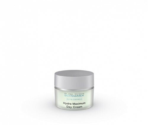 Hydra maximum day cream 50ml - Rillaar