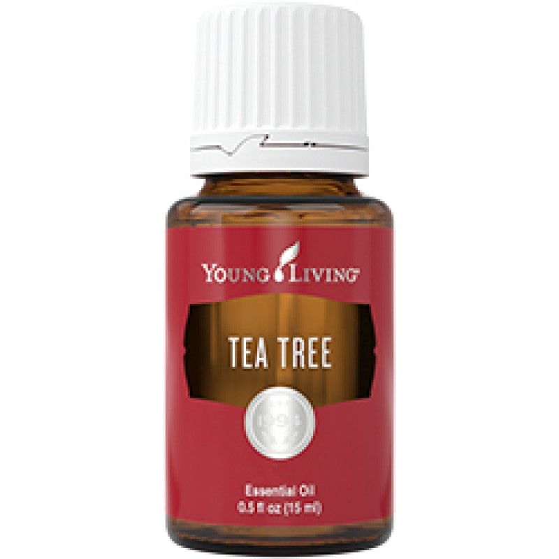 Tea Tree (15 ml) - Bree