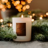 Miglot Geurkaars - Formula 52 - Turnhout