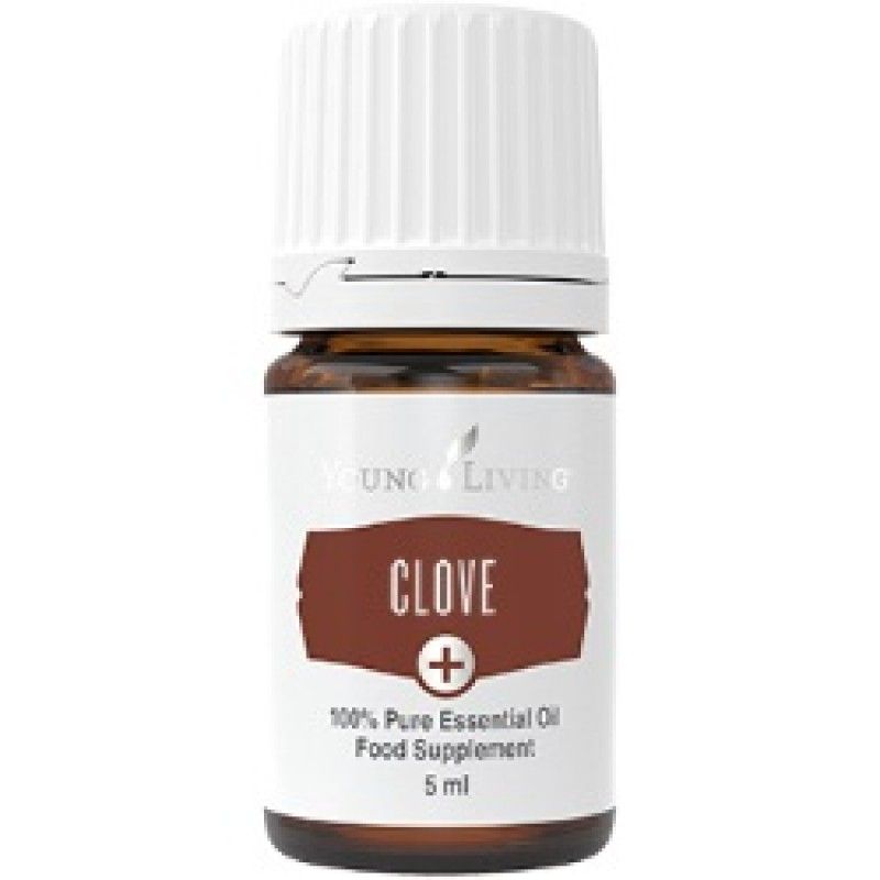 Clove + 5ml - Bree