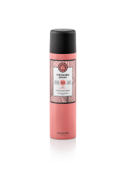 Finishing Spray - 100 ml - Moorsele