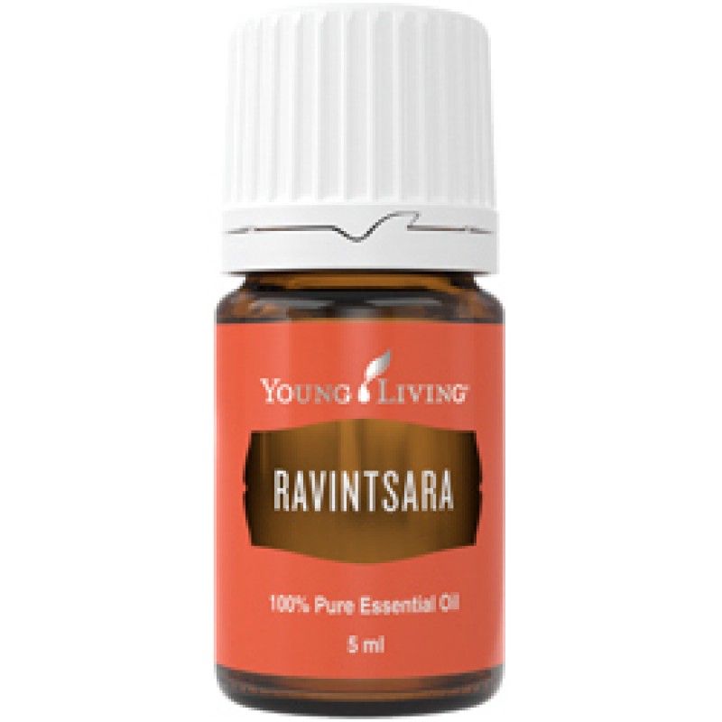 Ravintsara 5 ml - Bree