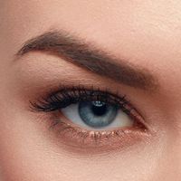  MICROBLADING BROW - 22 brunette - Diest