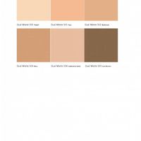 Dual Matte Wear SPF15 - 503 Mou - Diest