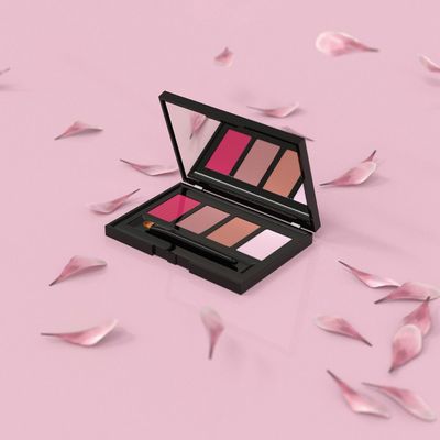 PALETTE LIPSTICK  - Diest