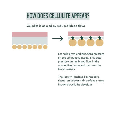 03 Insentials Fat Burner - Alken