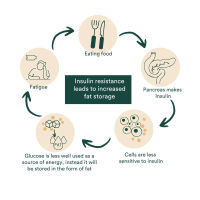 03 Insentials Fat Burner - Alken