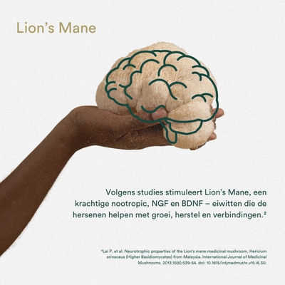 03 Insentials NRM3+ - Alken