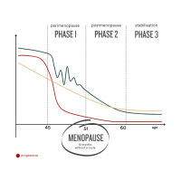 03 Insentials Meno move - Alken