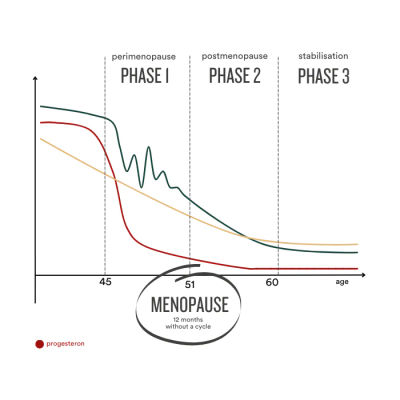 03 Insentials Meno move - Alken