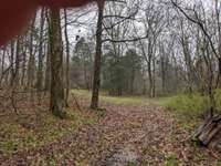 Near the end of the driveway opening up to a sizeable clearing.