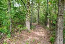 Enjoy your own private woods and walking path! 