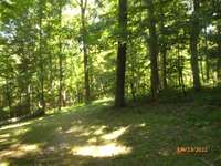 Private lot, surrounded by woods