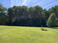 large level yard bordered by shade trees